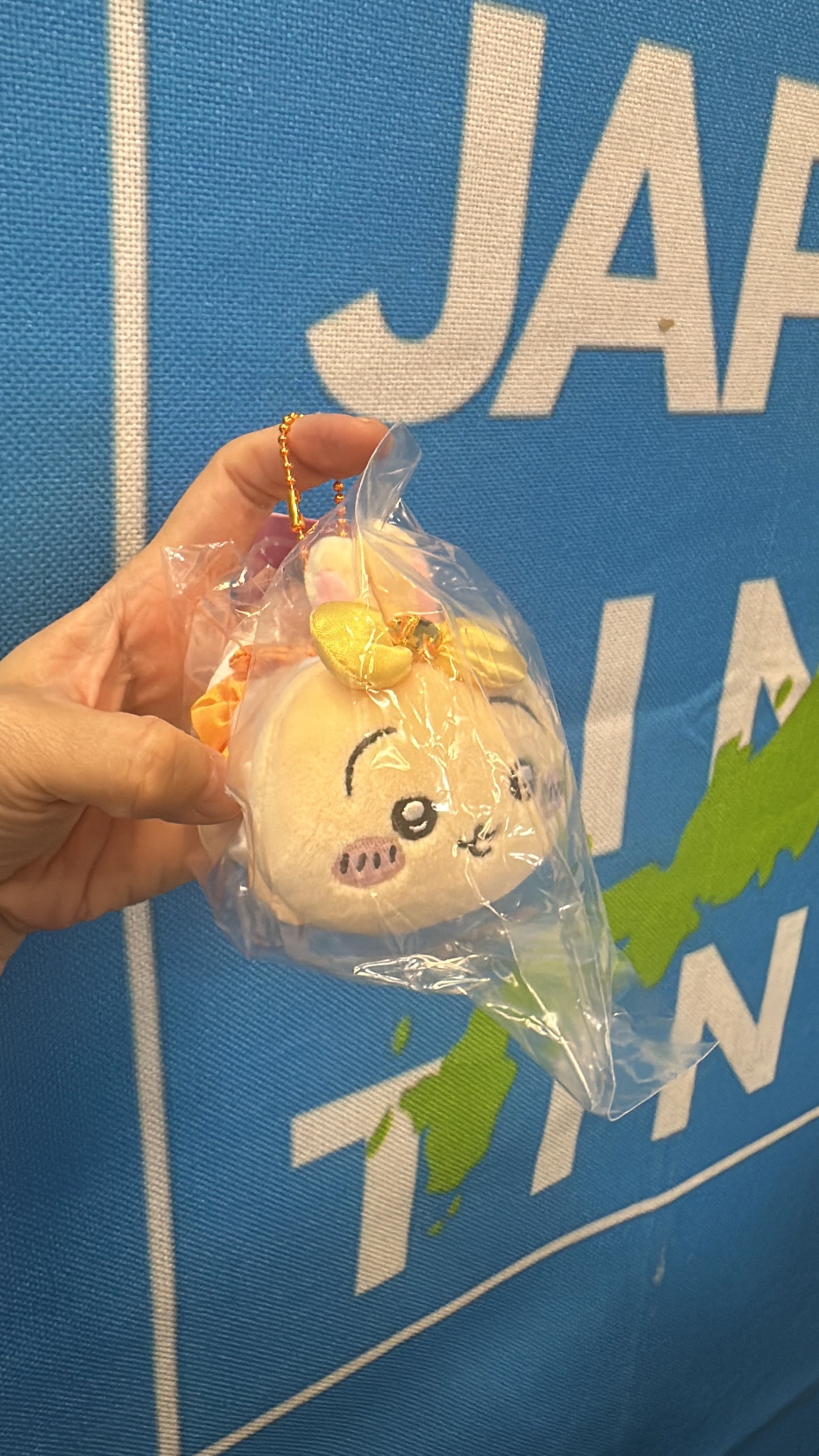 日本直送:Chiikawa