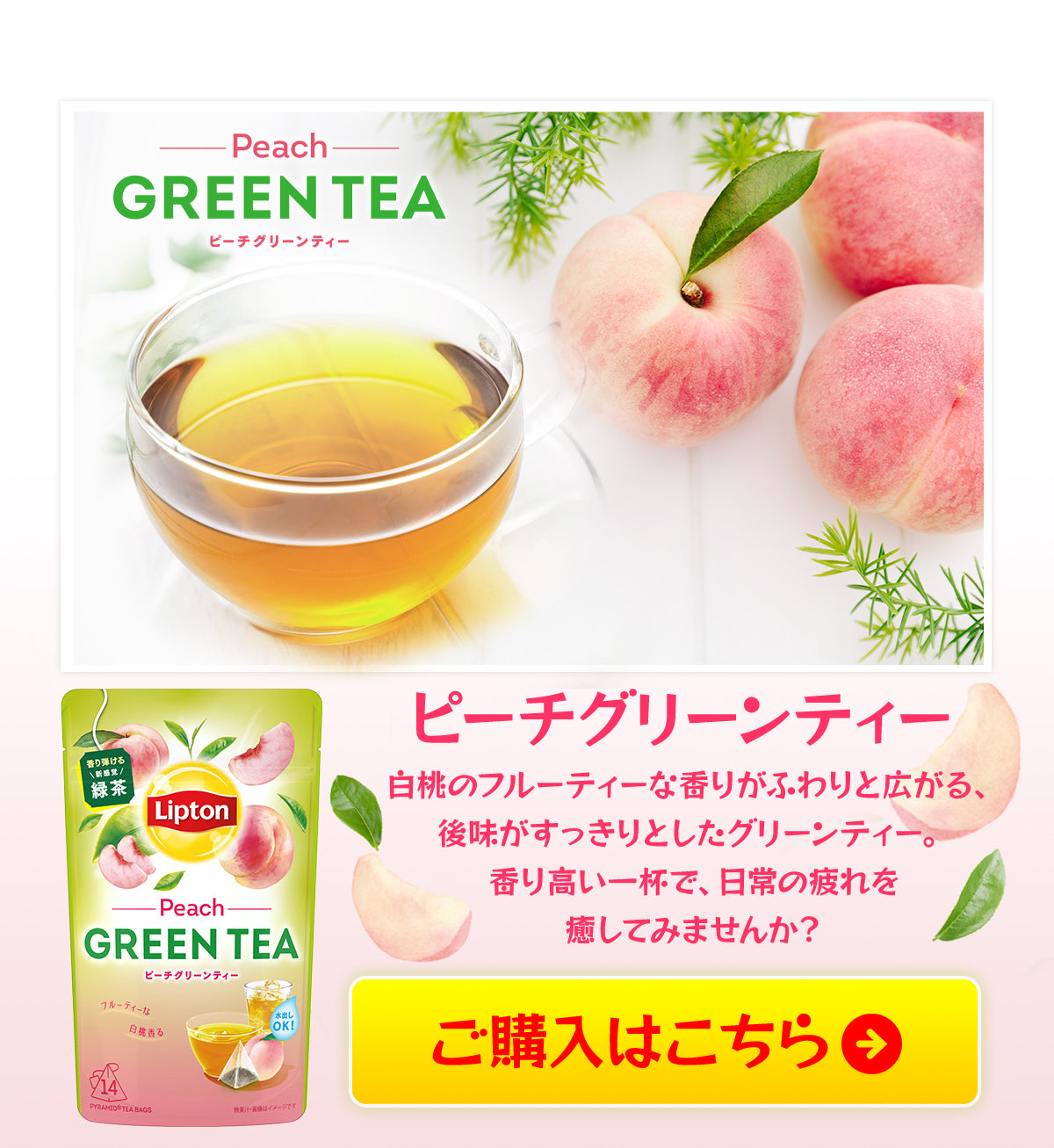 日本Lipton - 新製品(茶包)