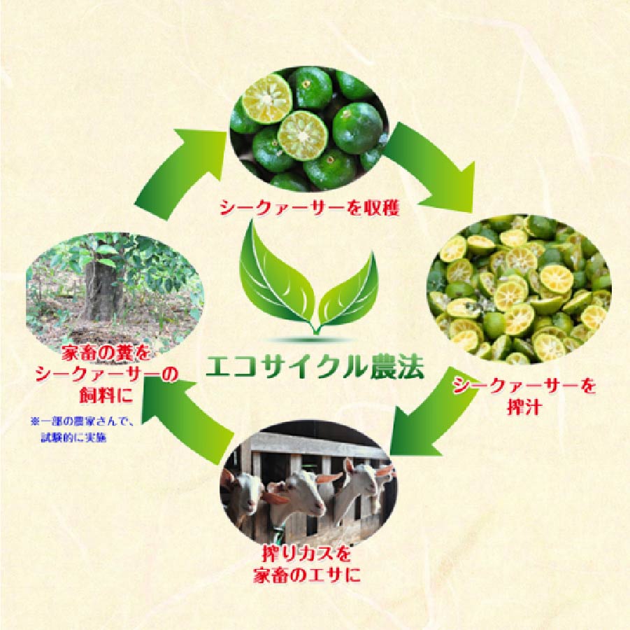 沖縄山原產 ：（原個連皮榨汁）100%香檬汁 （每枝500ml) 1:10 沖水飲用